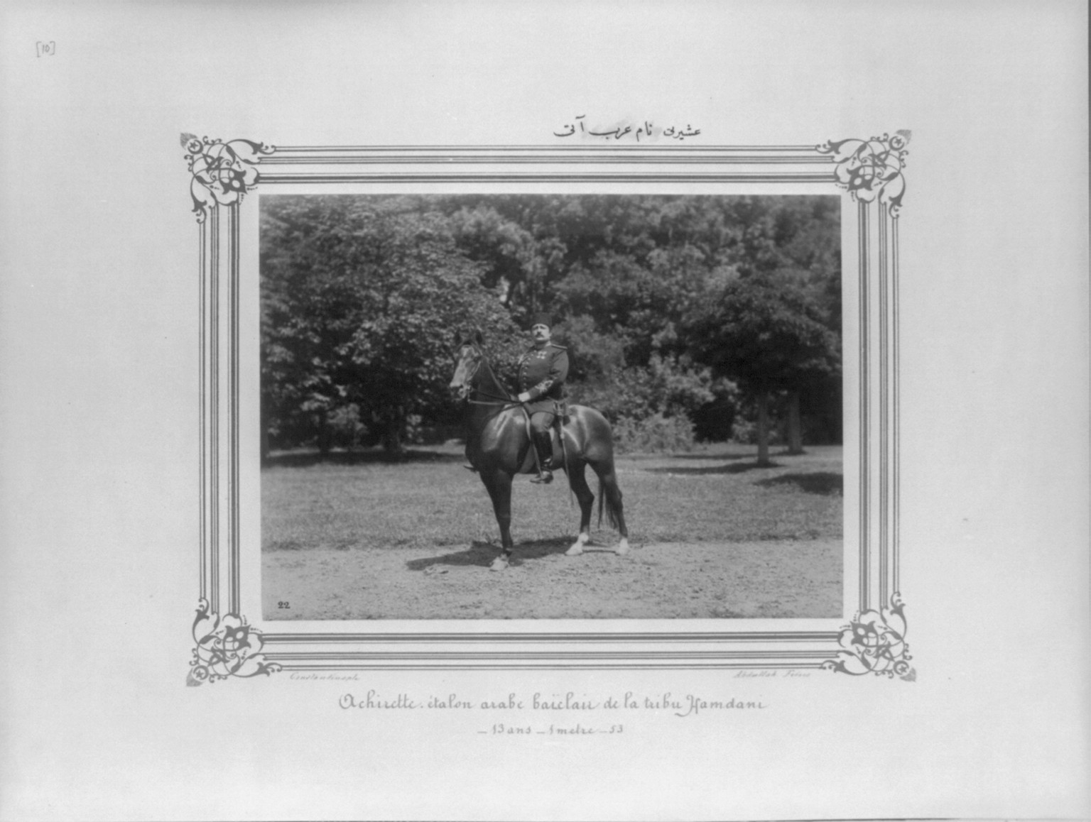 [The Arabian horse named Asireti] / Constantinople, Abdullah Frères., [between 1880 and 1893] — historic photograph