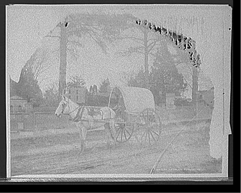 [A Virginia vegetable cart], [between 1900 and 1910] — historic photograph