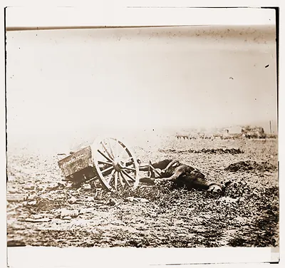 Gettysburg Pennsylvania. Unfit for service. Artillery caisson and dead mule