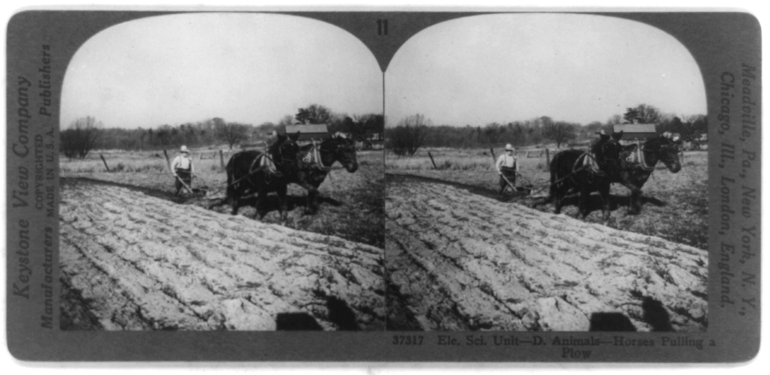 Ele. Sci. Unit - D. Animals - horses pulling a plow, c1947 Aug. 4. — historic photograph