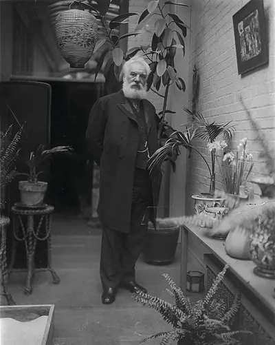 Elderly bearded man standing in a plant-filled conservatory