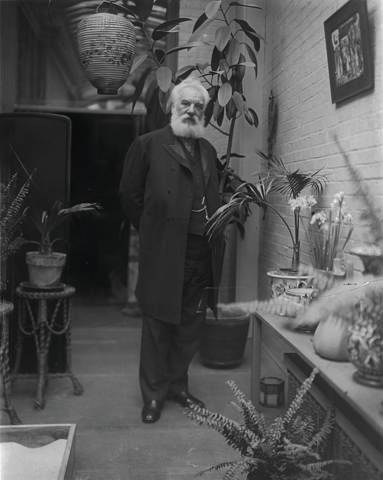 Elderly bearded man standing in a plant-filled conservatory — historic image