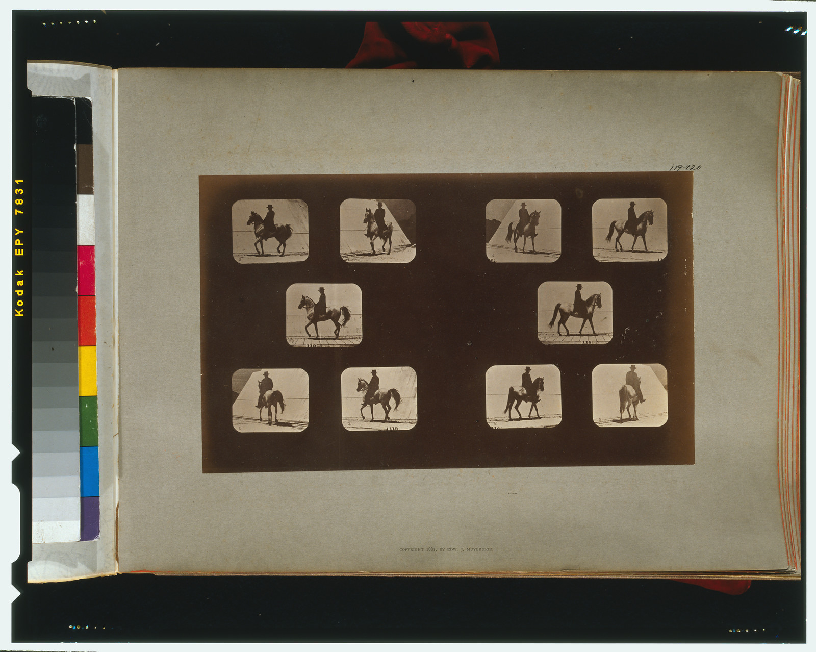 Horses. Walking, [San Francisco] : Muybridge, c1881. — historic photograph