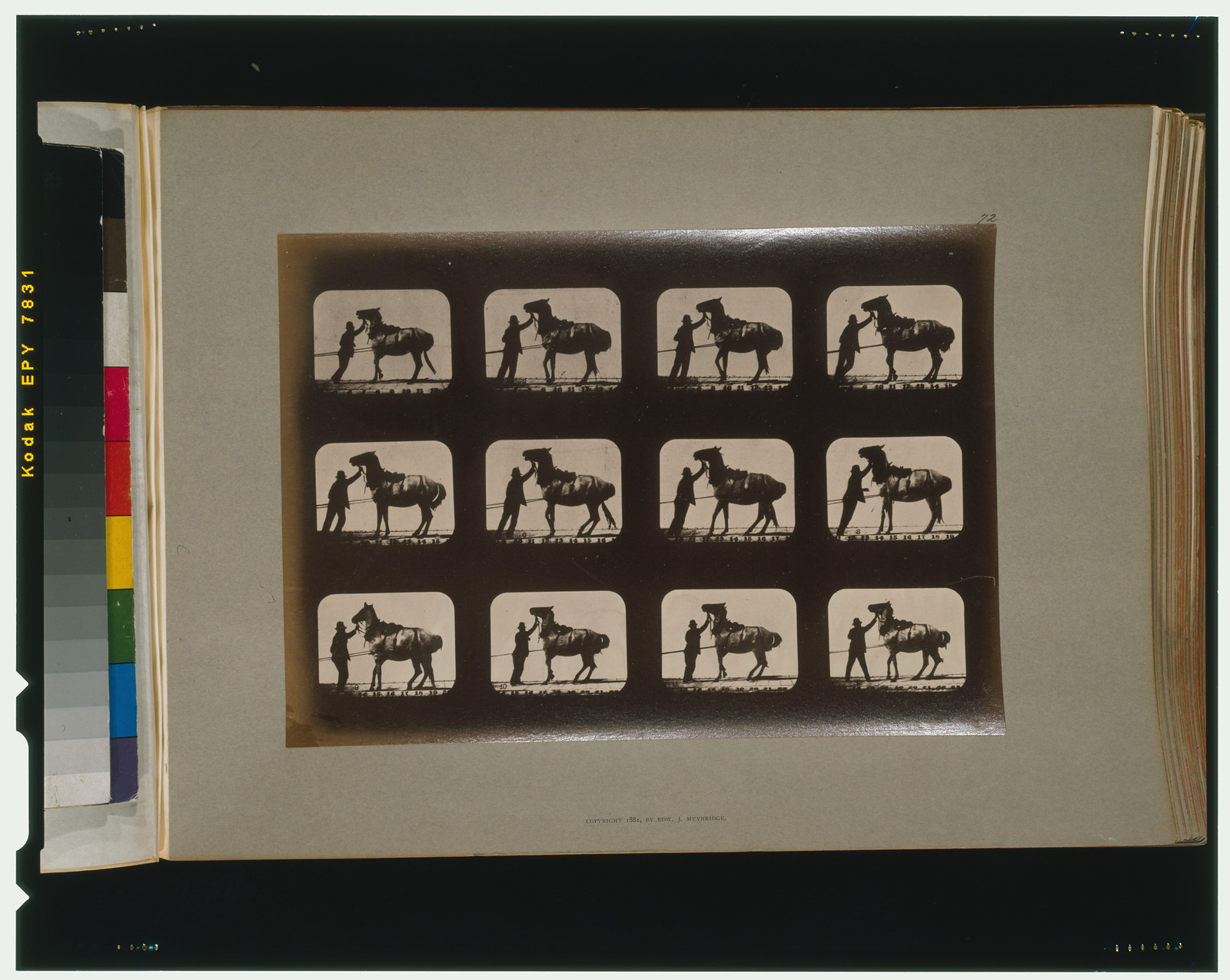 Horses. Backing, [San Francisco] : Muybridge, c1881. — historic photograph