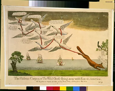 The habeas corpus, or The wild geese flying away with Fox to America