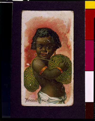 Bread fruit