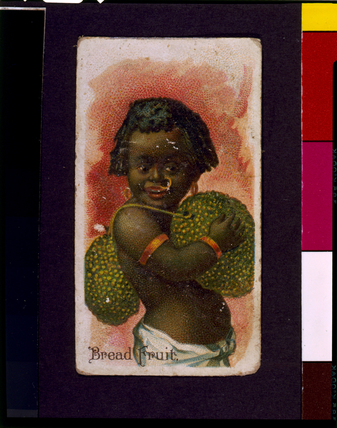 Bread fruit, [between 1850 and 1900(?)] — antique lithograph