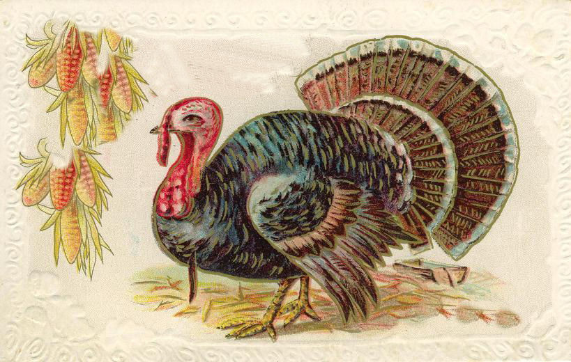 Embossed Thanksgiving postcard with turkey and corn — vintage postcard