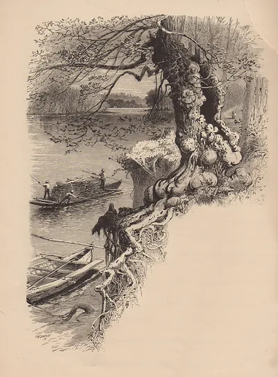 River bank with gnarled tree, log raft and boats