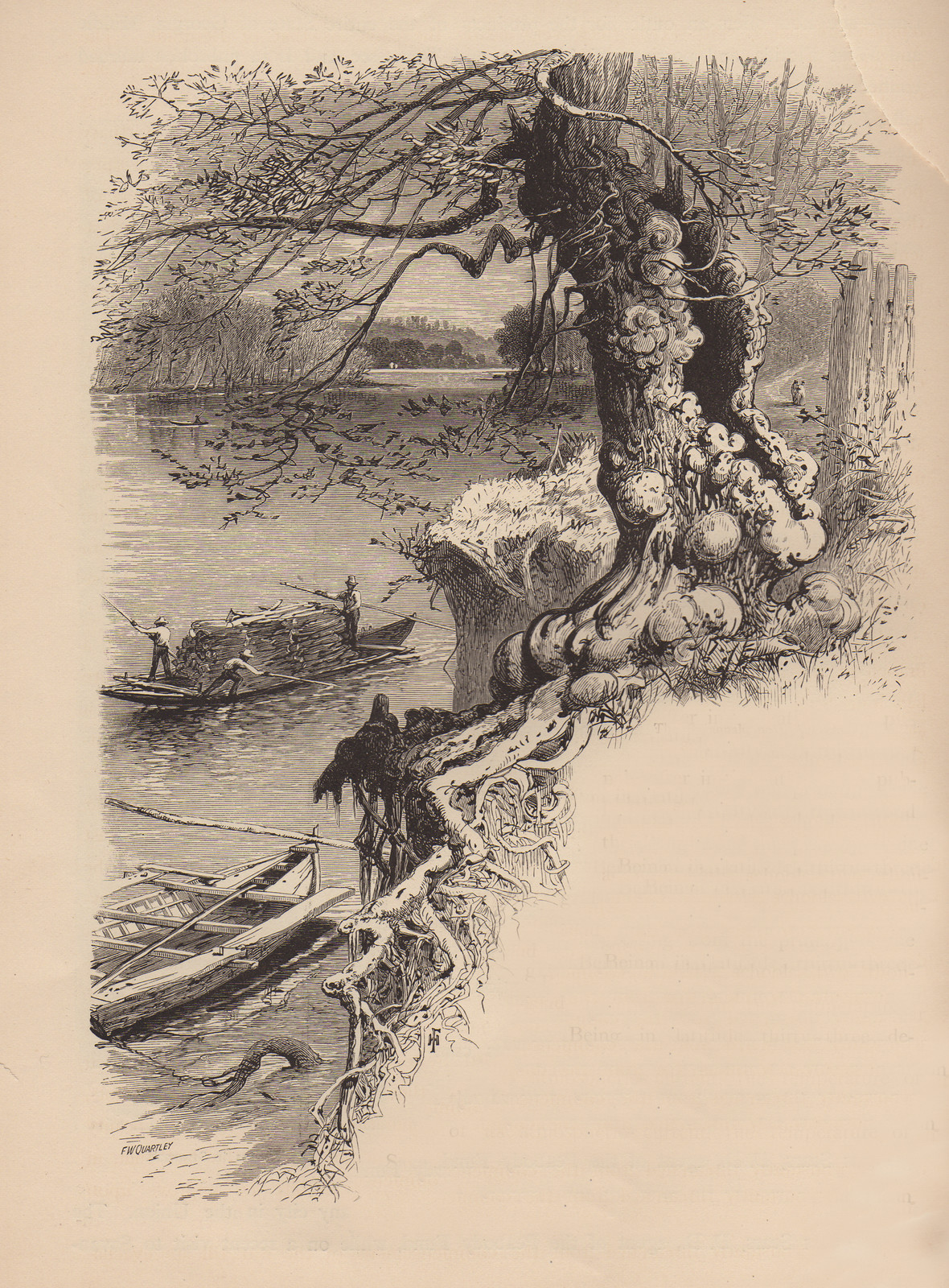 River bank with gnarled tree, log raft and boats — historic image