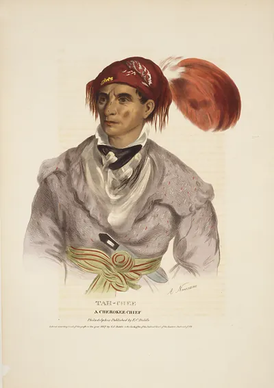 Tah-chee, a Cherokee chief / A. Newsam.