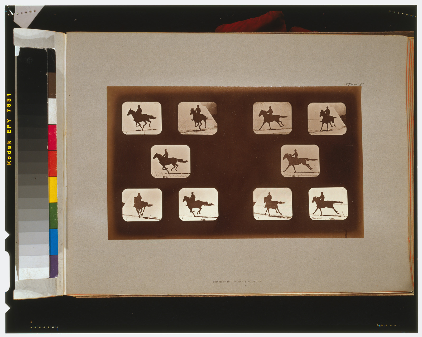 Horses. Running, [San Francisco] : Muybridge, c1881. — historic photograph