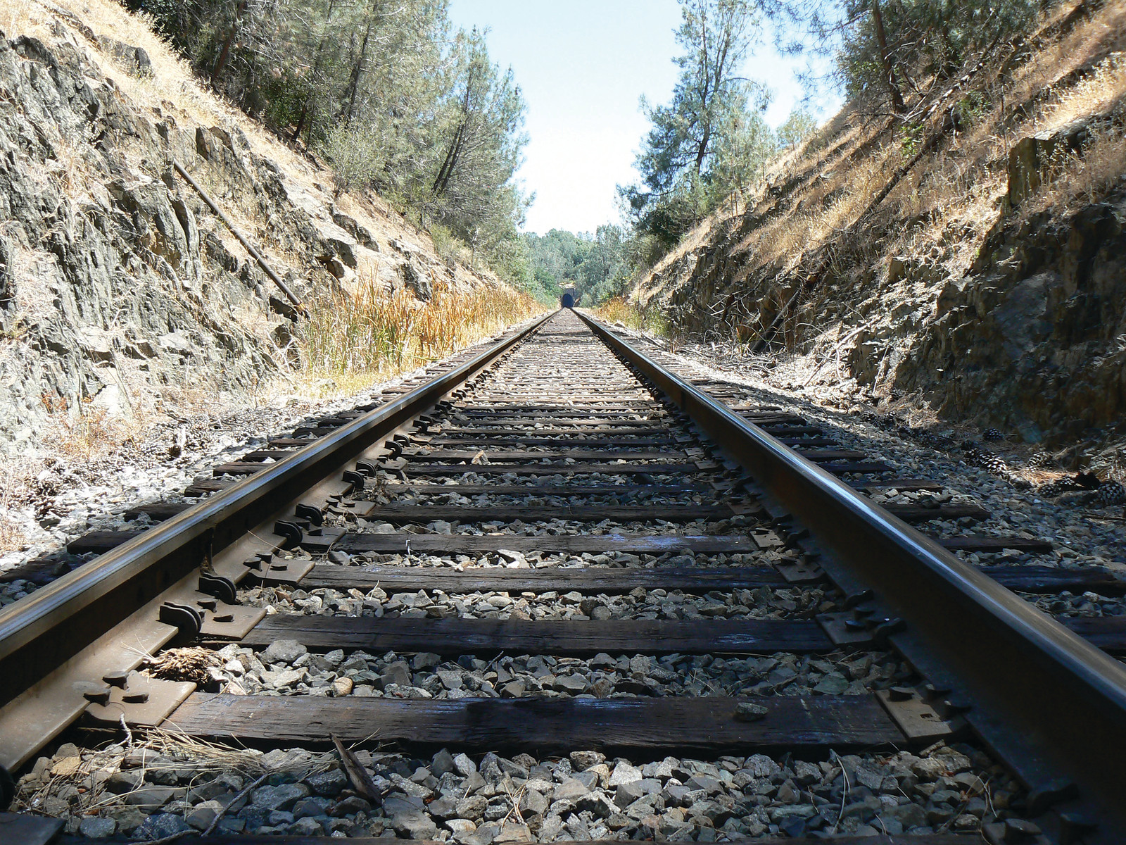 Railway tracks running through a rocky, wooded cutting — historic image