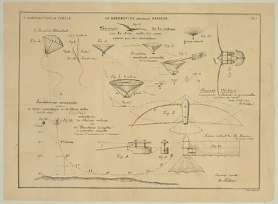 La locomotion aérienne passive: parachutes, gliders and fall experiments
