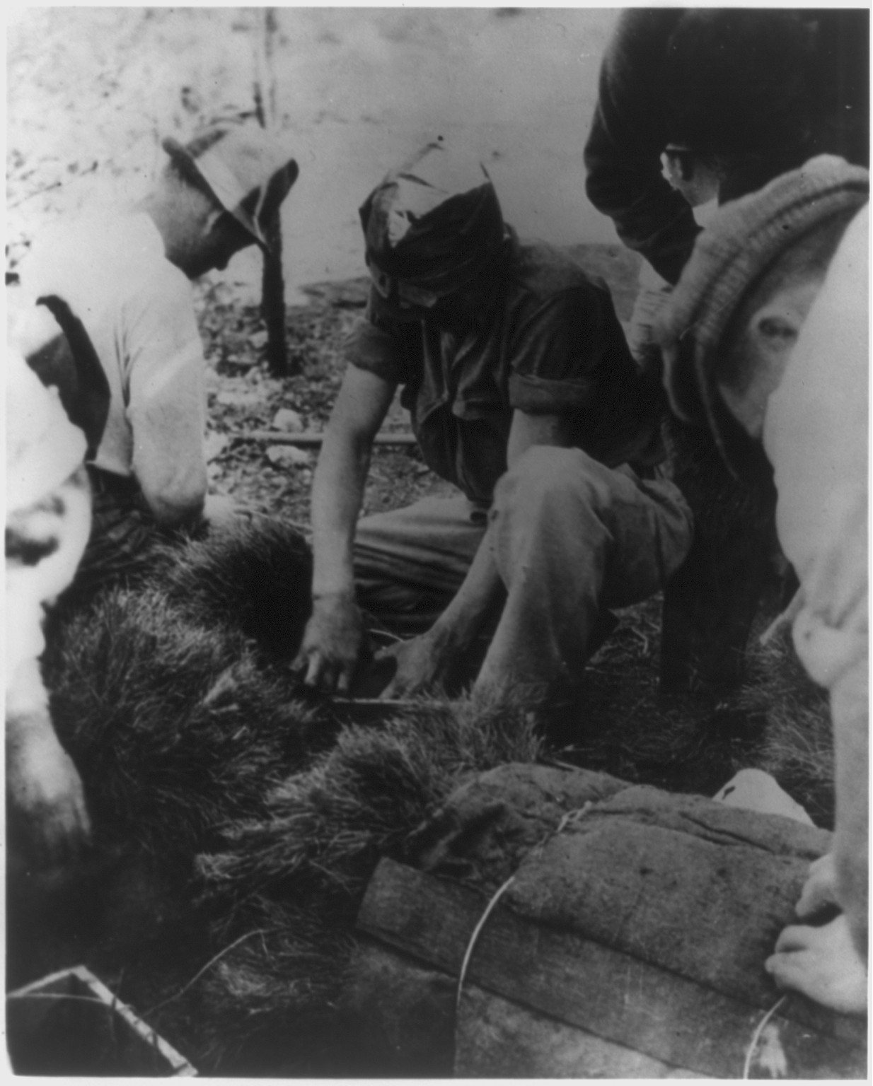 CCC boys filling work boxes with young trees in preparation for the day's tree planting, [between 1936 and 1940(?)] — historic photograph