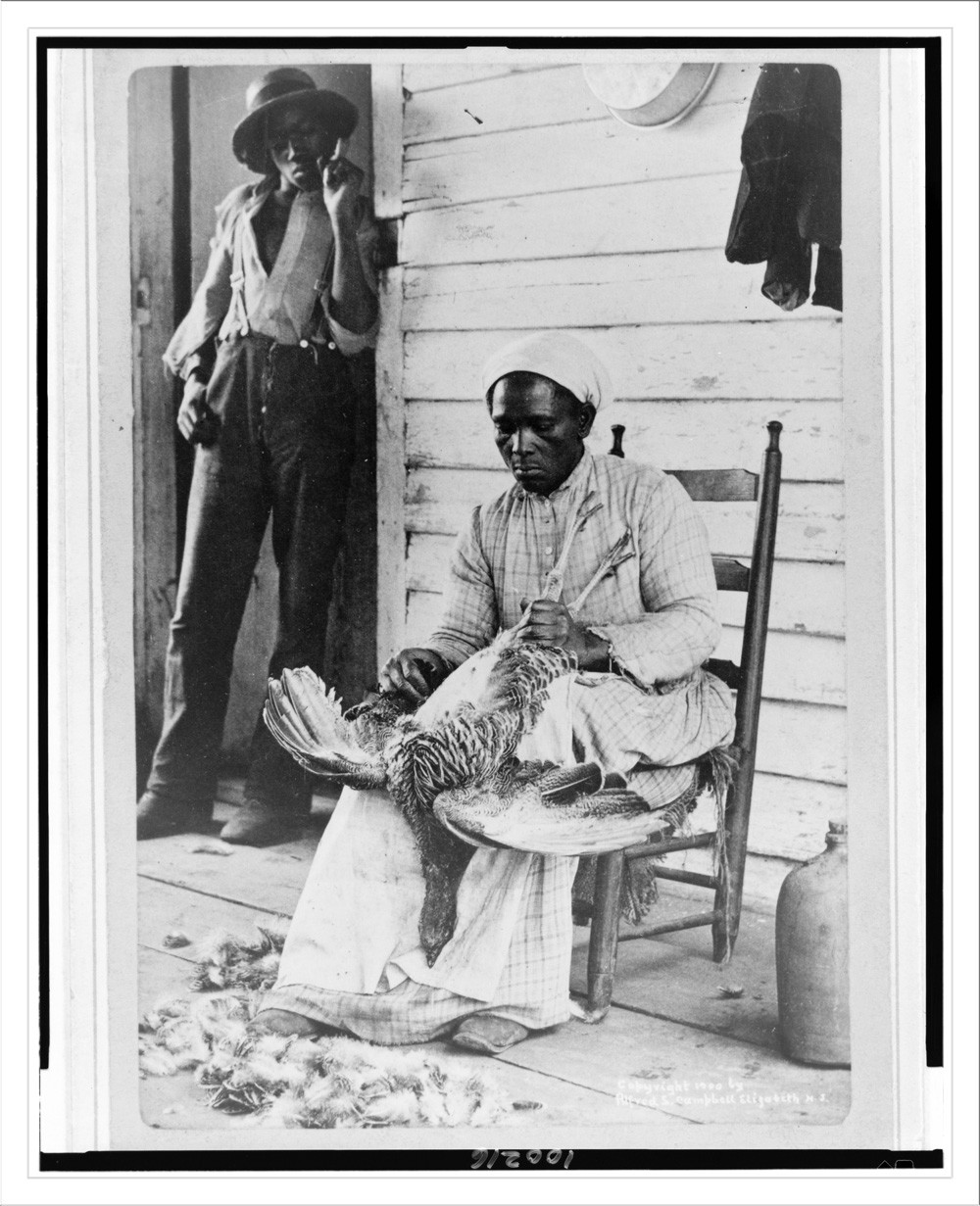 The Thanksgiving turkey / Alfcamp, Elizabeth, N.J., c1900. — historic photograph