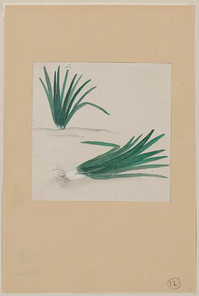[Japanese drawing]