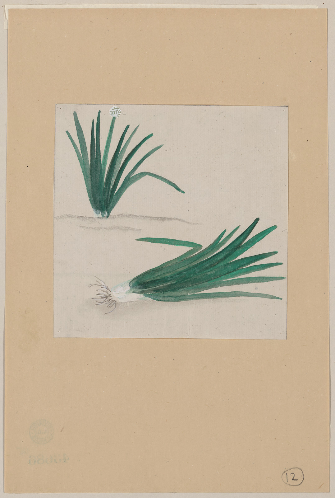[Japanese drawing], 1750 — historic drawing