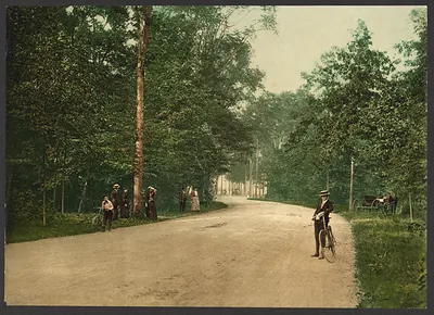Tree-lined forest drive with cyclist and carriage, Belle Isle