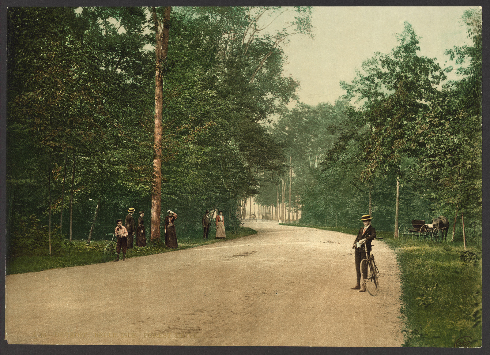 Tree-lined forest drive with cyclist and carriage, Belle Isle — historic image