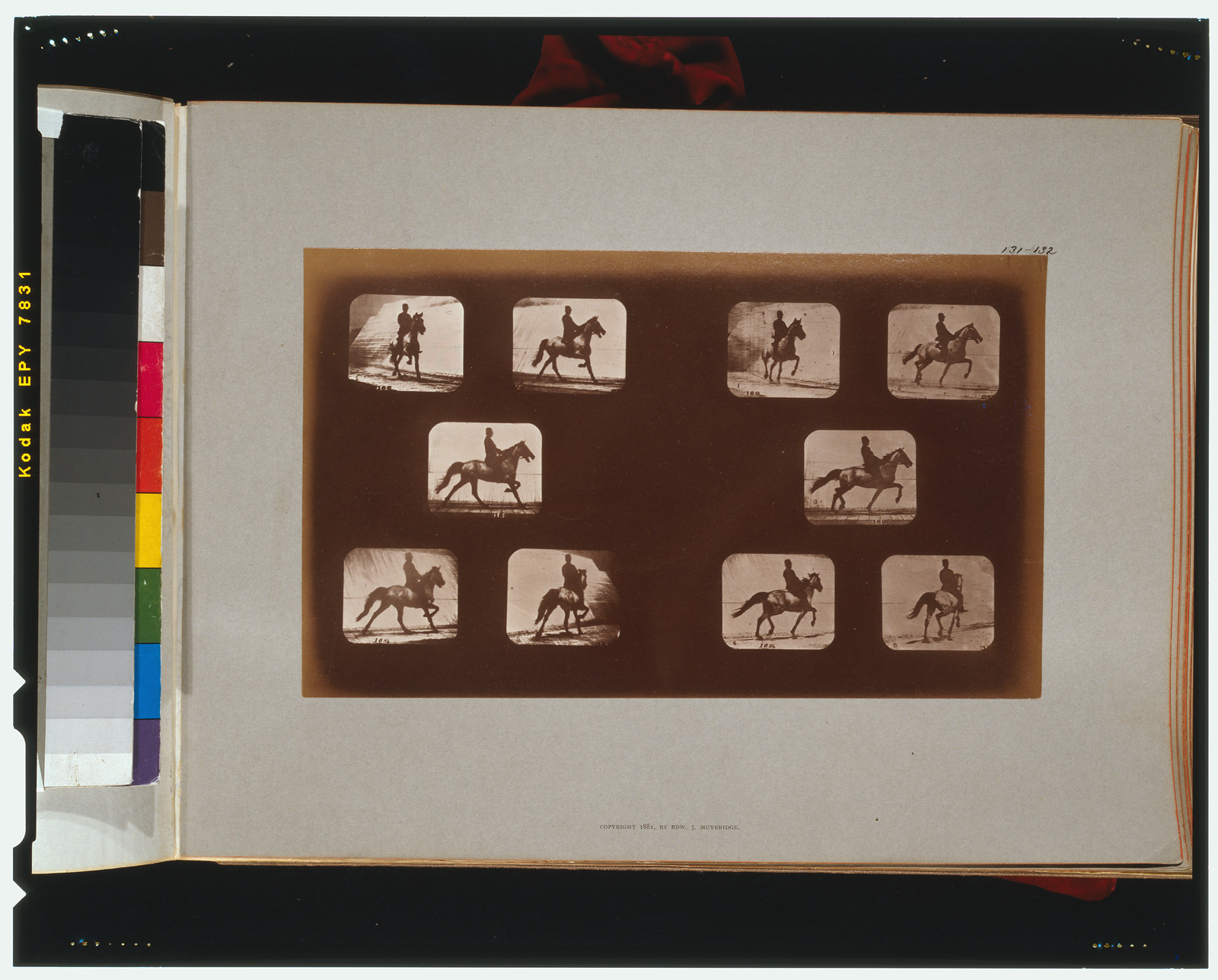 Horses. Trotting, [San Francisco] : Muybridge, c1881. — historic photograph