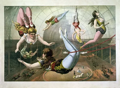 [Female acrobats on trapezes at circus]