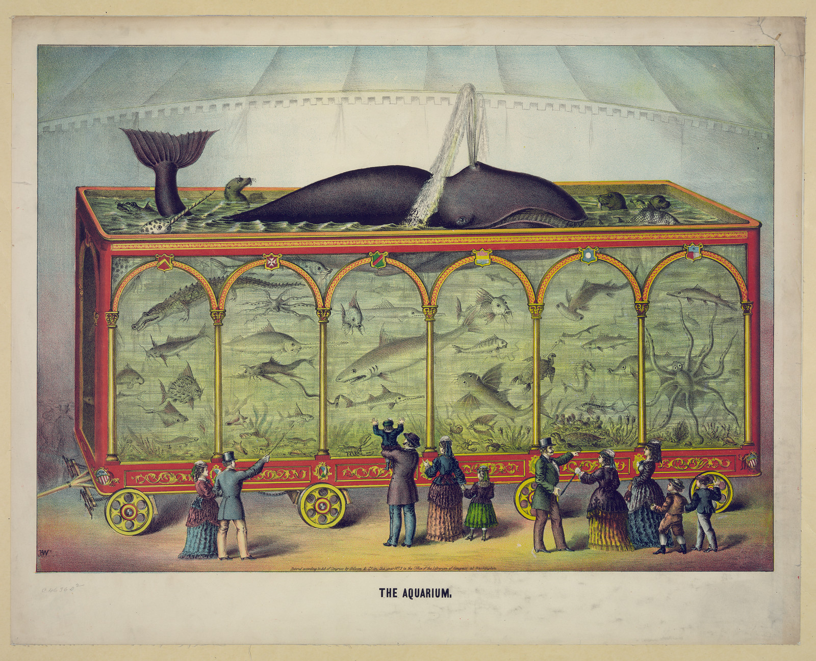The Aquarium — historic image