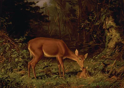 Maternal love / A.F. Tait, N.Y., 1868.