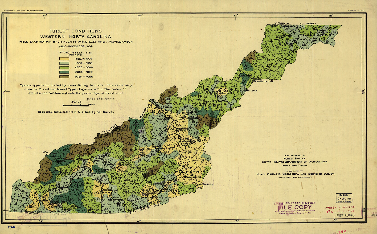 Forest Conditions Western North Carolina, 1909 — historic image