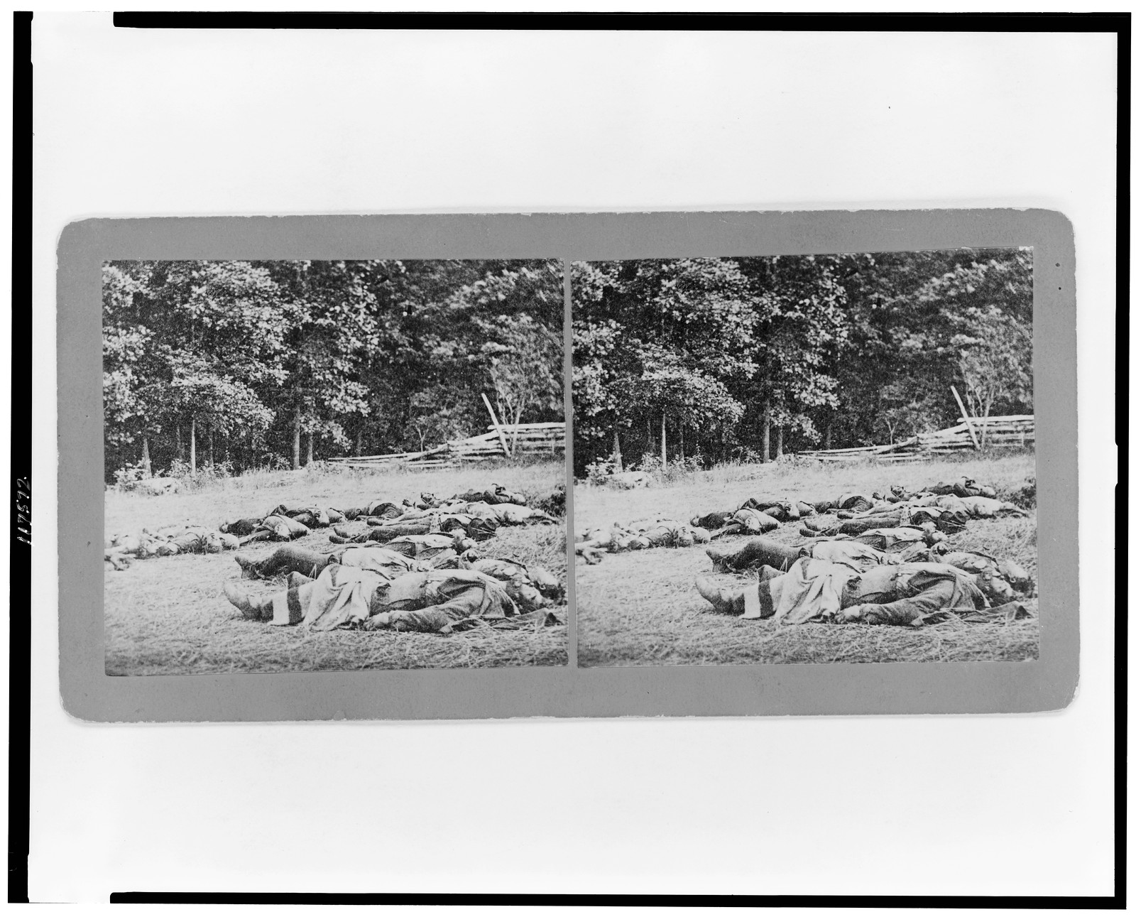 [Confederate dead gathered for burial at the southwestern edge of the Rose Woods, Gettysburg, Pa., July 5, 1863], Gettysburg, Pa. : Published by Mumper & Co., [1863] — historic photograph