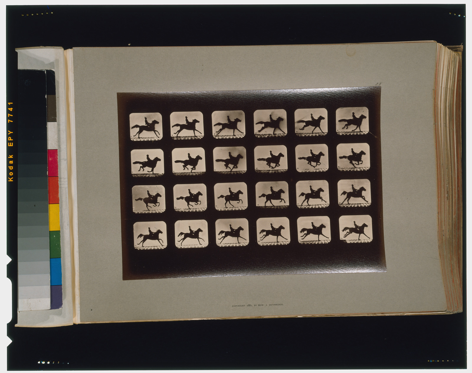 Horses. Running, [San Francisco] : Muybridge, c1881. — historic photograph