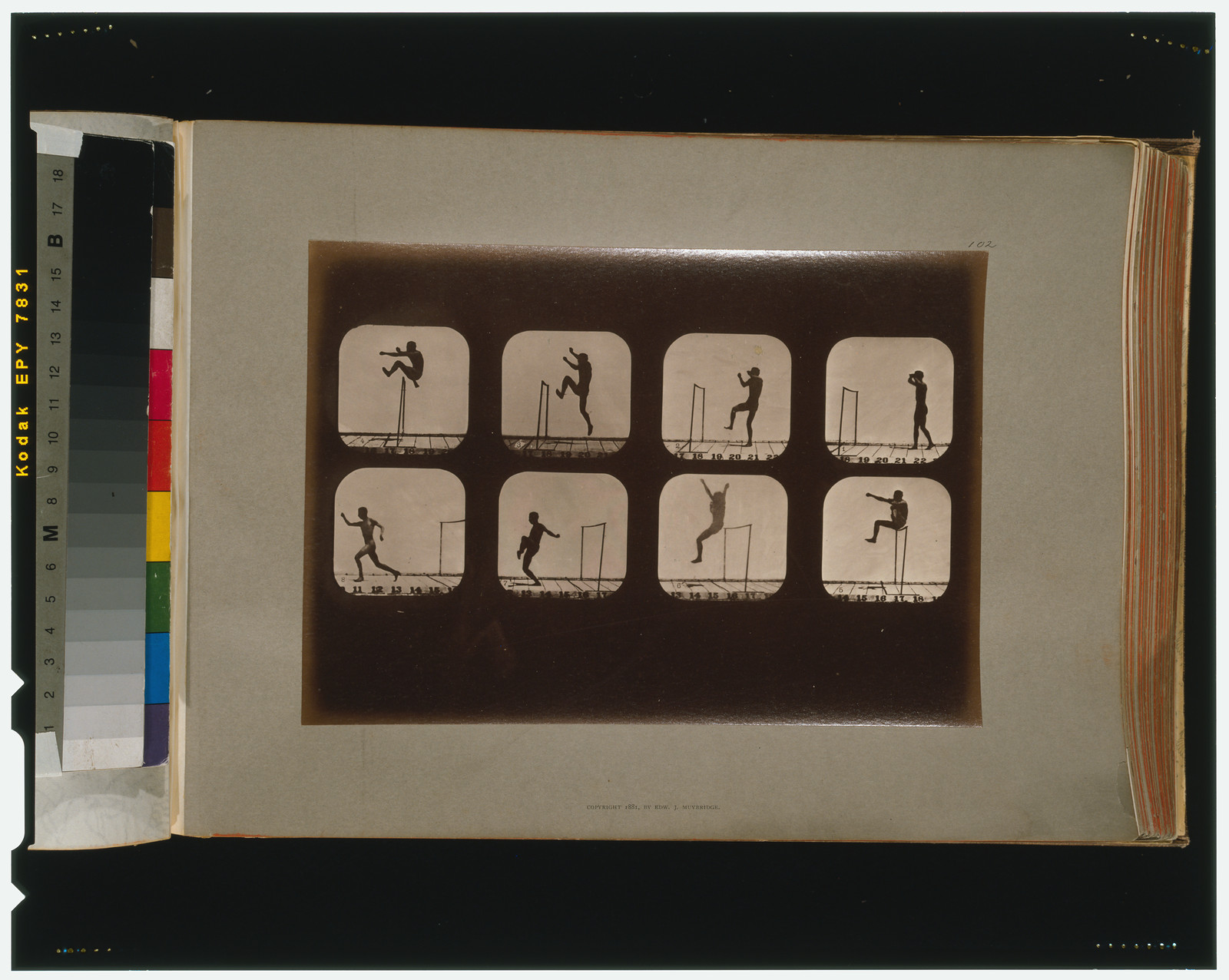 Athletes. Walking high leap, [San Francisco] : Muybridge, c1881. — historic photograph