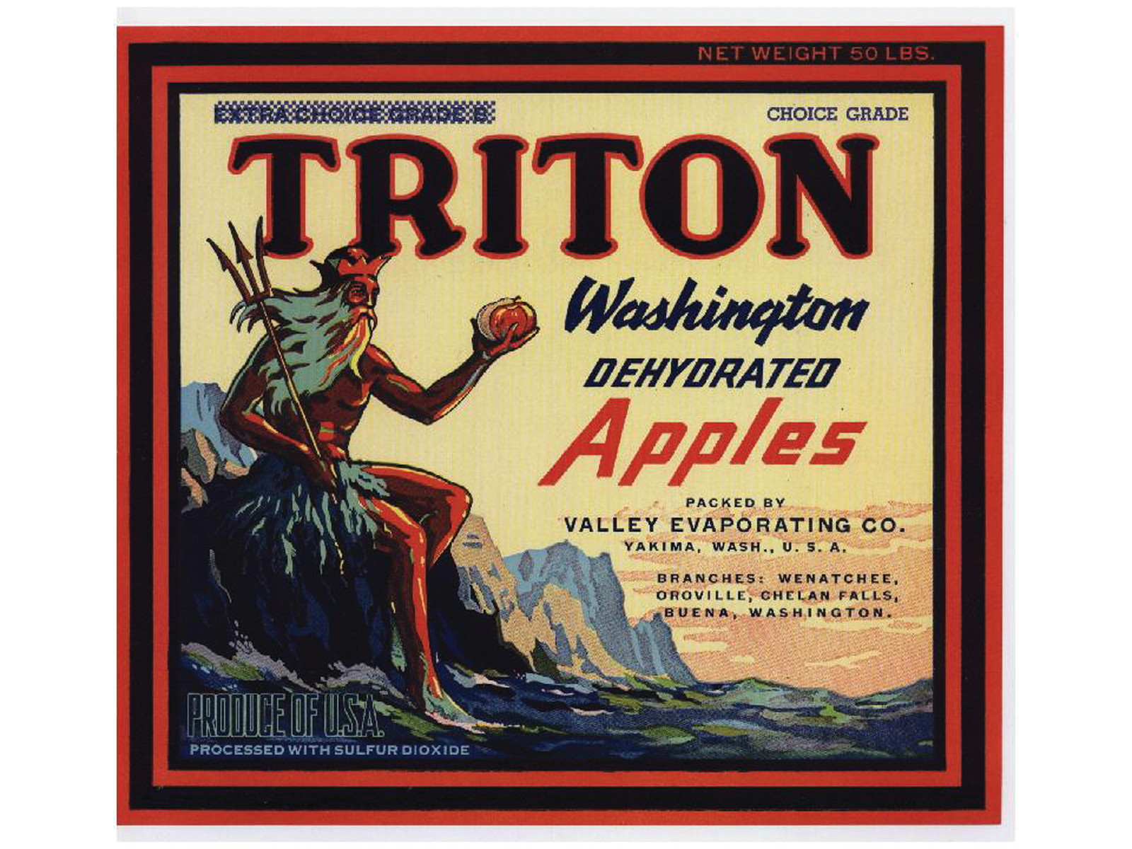 Triton Washington Dehydrated Apples crate label — historic image