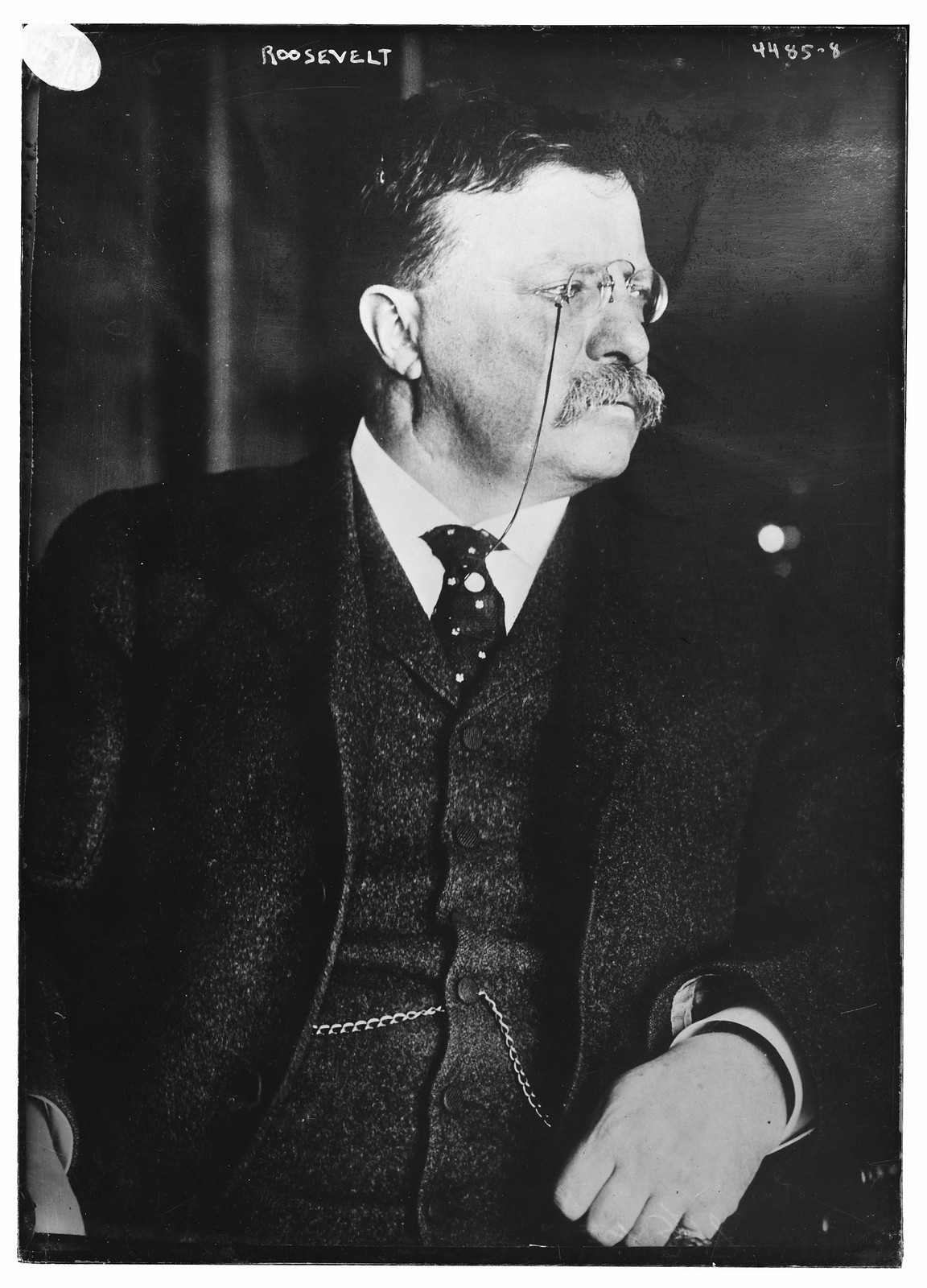 T. Roosevelt, n/a — historic photograph