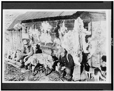 White River N.F. Rio Blanco County, Colorado. Govt. hunters in camp