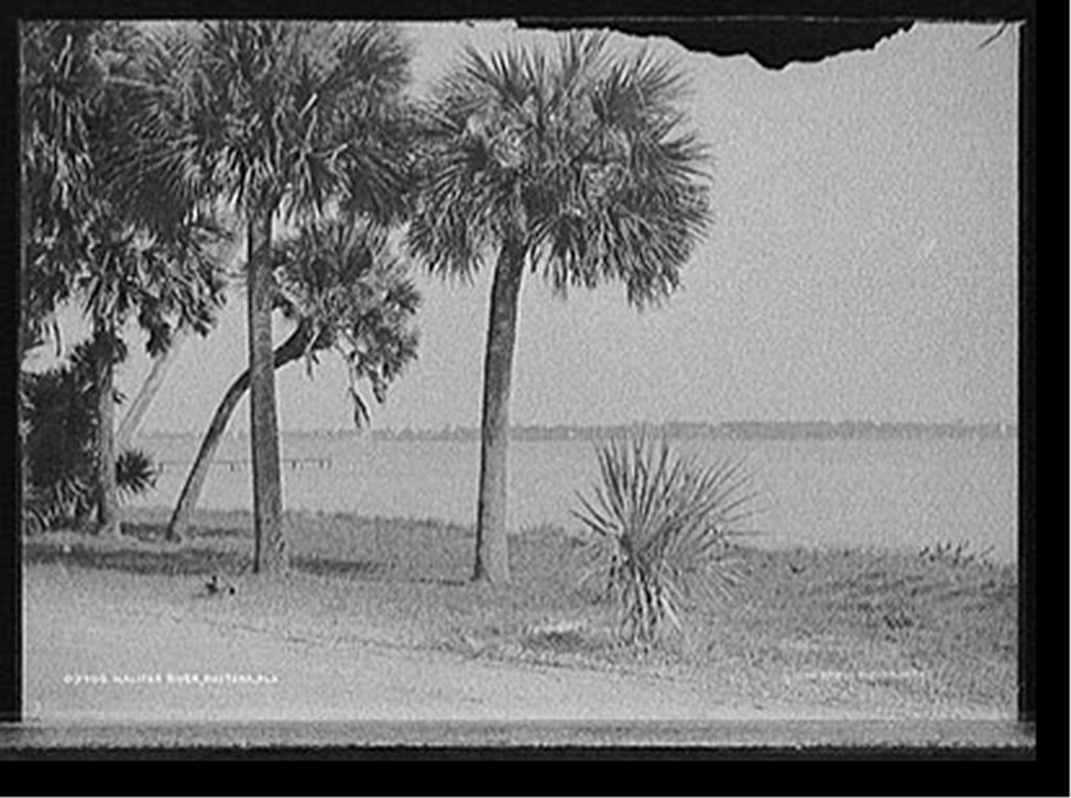 Halifax River, Daytona, Fla., c[between 1900 and 1906] — historic photograph