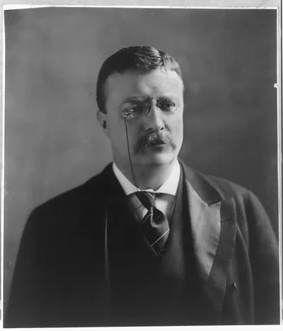[Theodore Roosevelt, bust portrait, facing slightly right]