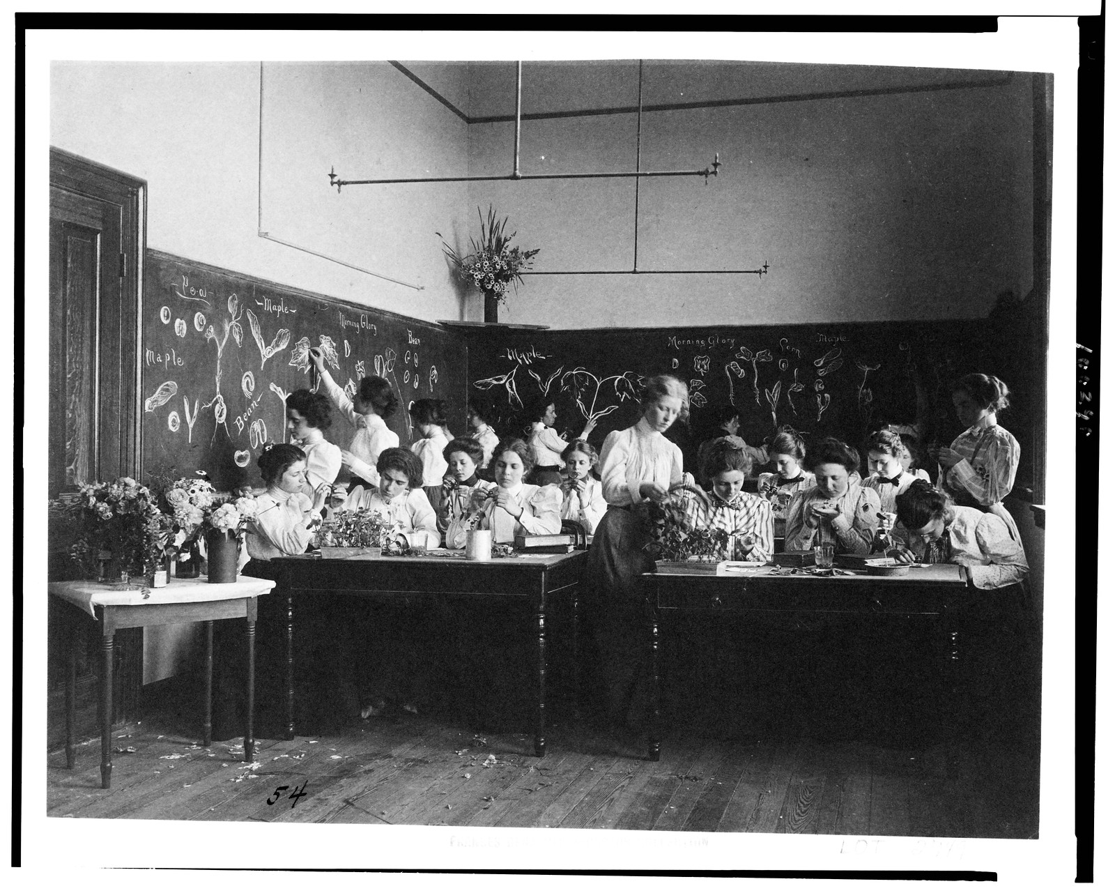[Group of young women studying plants in normal school, Washington, D.C.], [1899?] — historic image