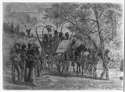 [African American refugees coming into the Union lines near Culpeper Court House, Va.]