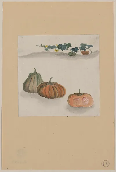 [Japanese drawing]