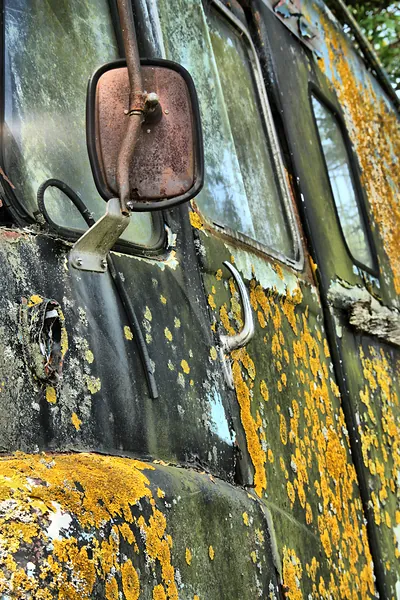 Lichen-covered derelict vehicle side with rusted mirror