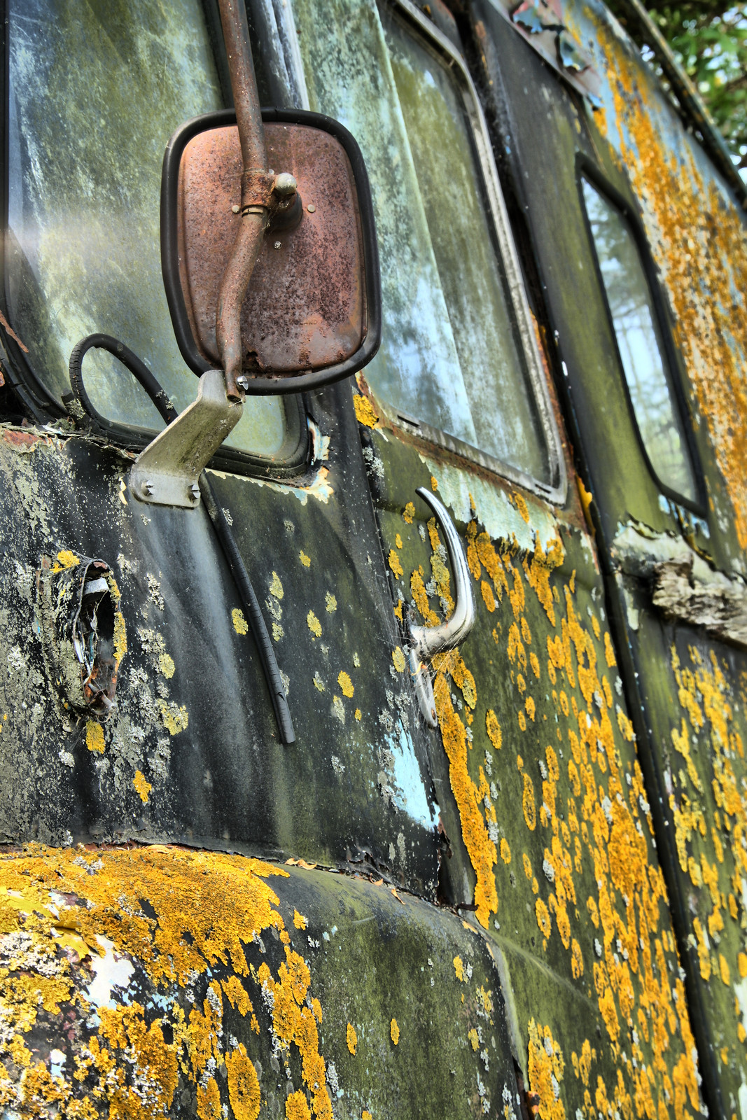 Lichen-covered derelict vehicle side with rusted mirror — historic image