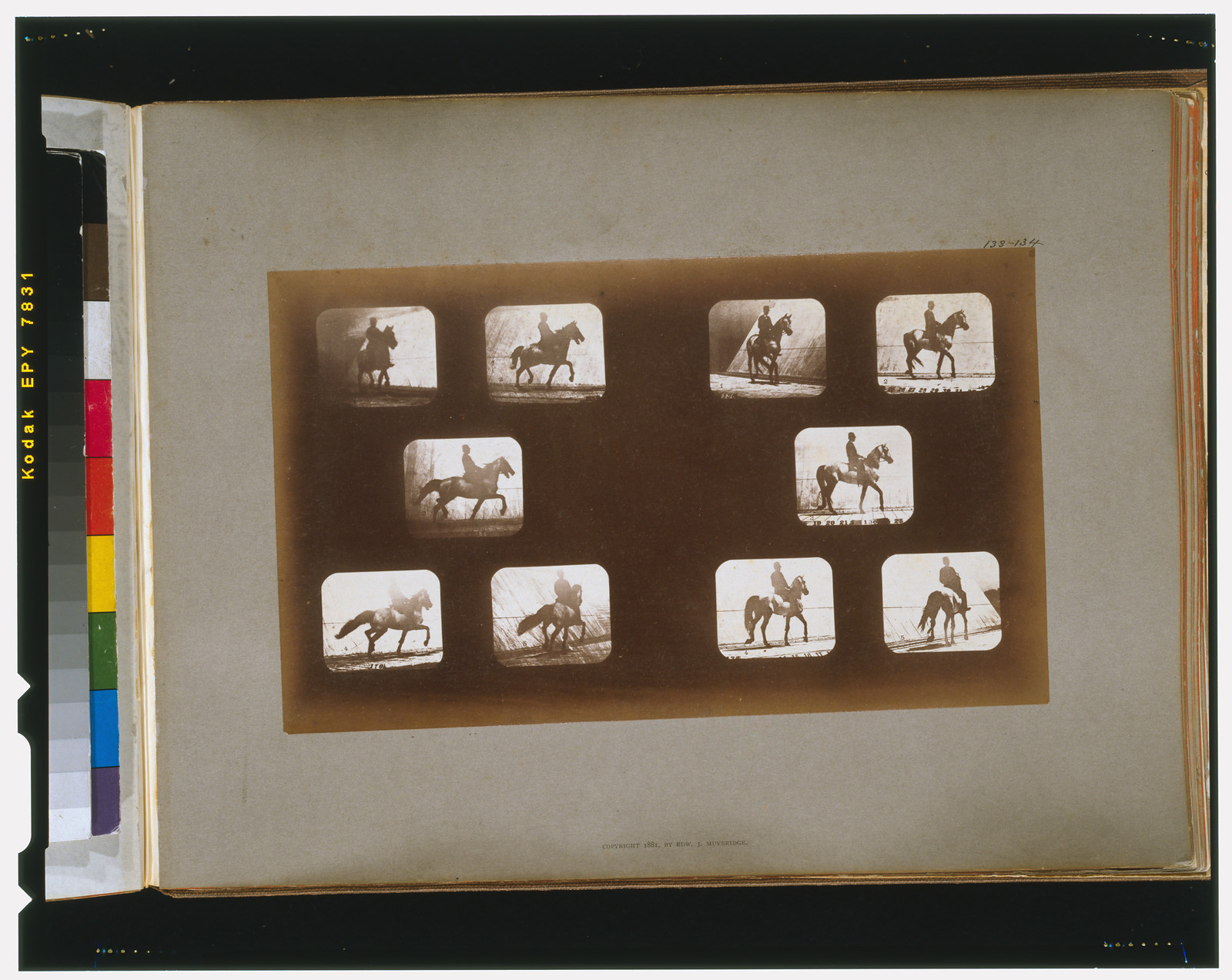 Horses. Trotting--Horses. Walking, [San Francisco] : Muybridge, c1881. — historic photograph