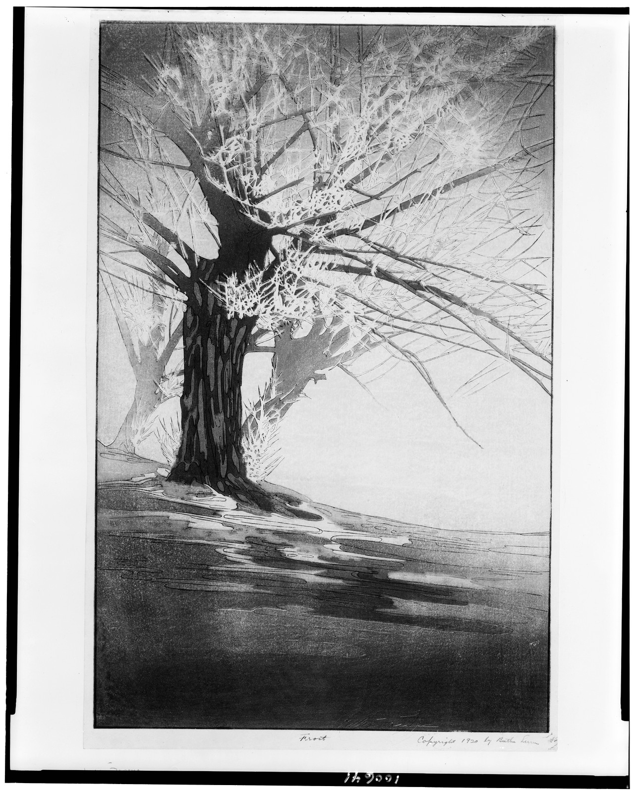 Frost / Bertha Lum., c1920. — historic print