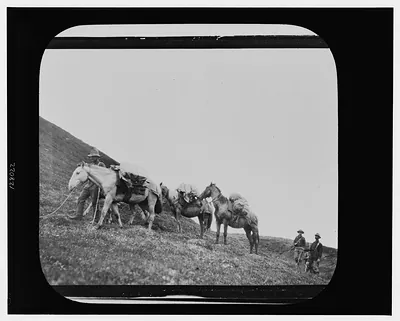 [Men with horses during polar expedition]