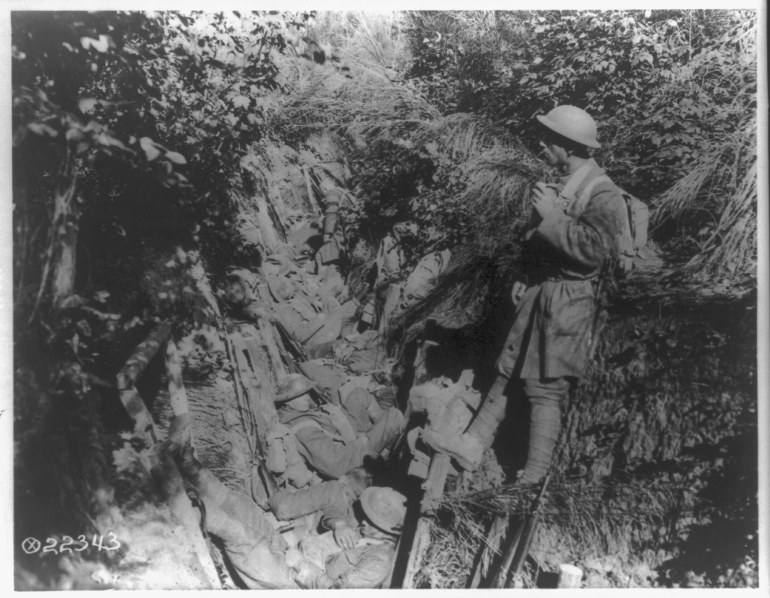 [American soldiers in trenches, France, 1918: USASC #22343 (foliage atop trench)] — historic photograph
