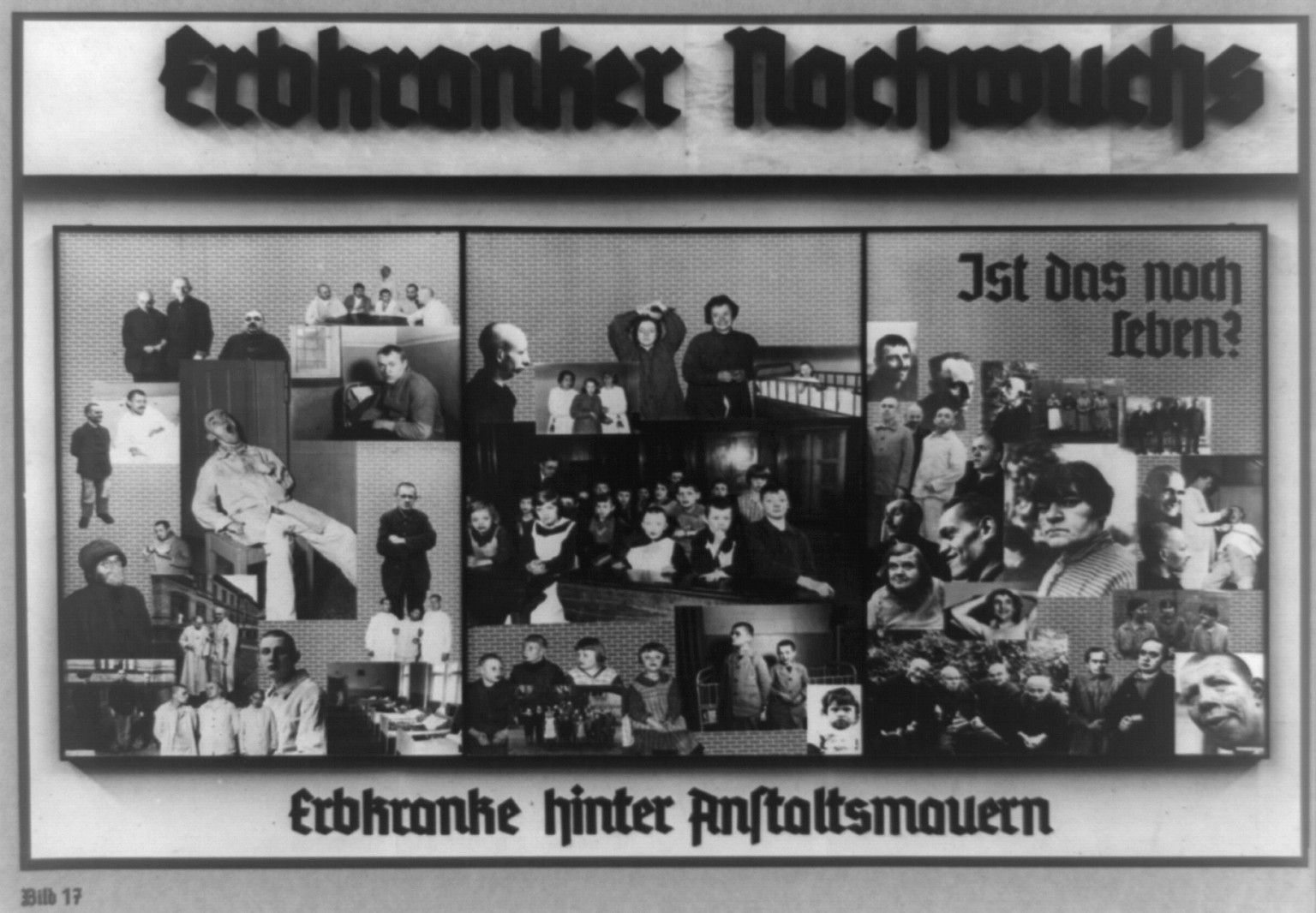 Erbkranker Nachwuchs, 1935 — historic print