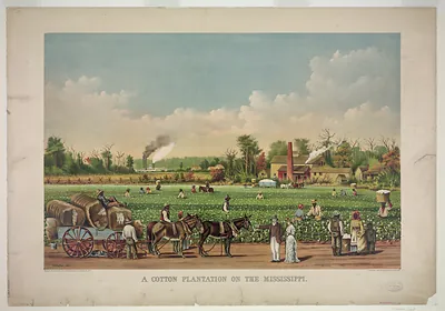 A Cotton Plantation on the Mississippi