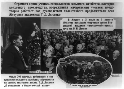 [Composite of three photos in Russia: T.D. Lysenko holding up onions in meeting, crowd of people at meeting in Moscow, and group of people inspecting grain in field]