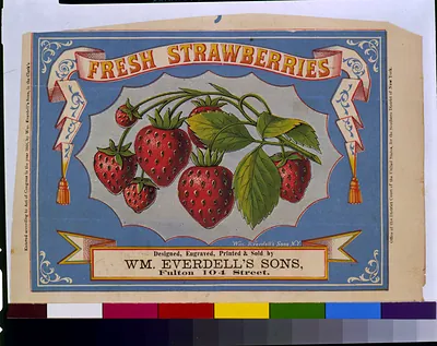 Fresh Strawberries label by Wm. Everdell's Sons